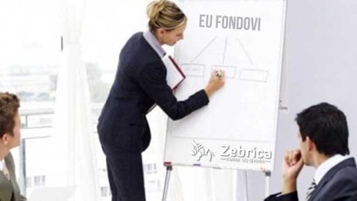 eu_fondovi_konzultanti