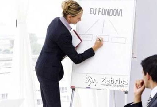 eu_fondovi_konzultanti