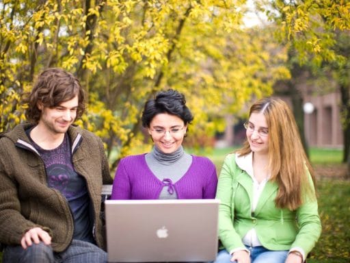 laboratorij_slave_2013